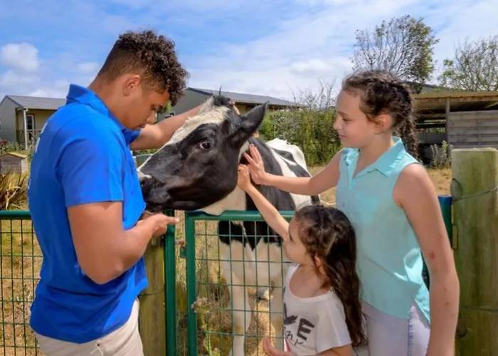 Camping Mobil Spacieux - 6 Pers. - Api-1-52-2110