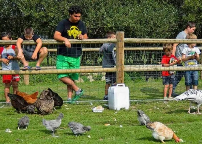 Camping Mobil Spacieux - 6 Pers. - Api-1-52-2110